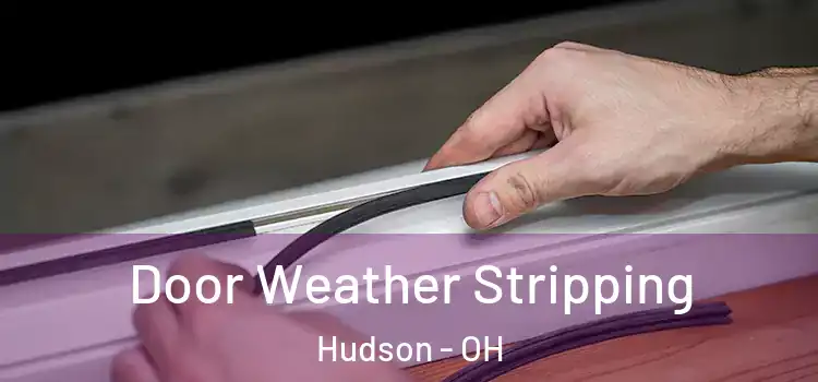  Door Weather Stripping Hudson - OH
