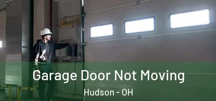  Garage Door Not Moving Hudson - OH