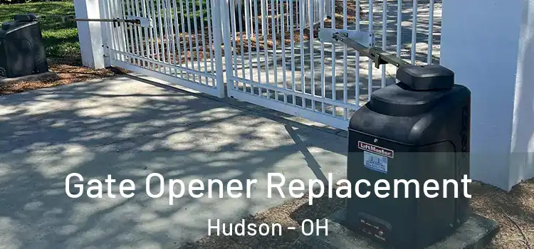  Gate Opener Replacement Hudson - OH