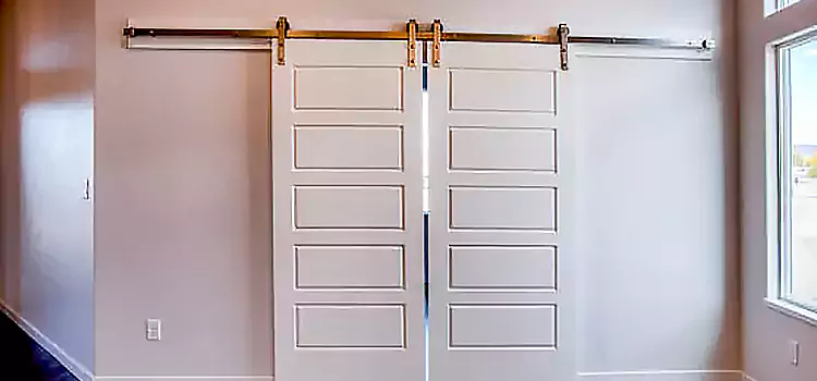 Glass Barn Door with Installation Hardware Kit Hudson