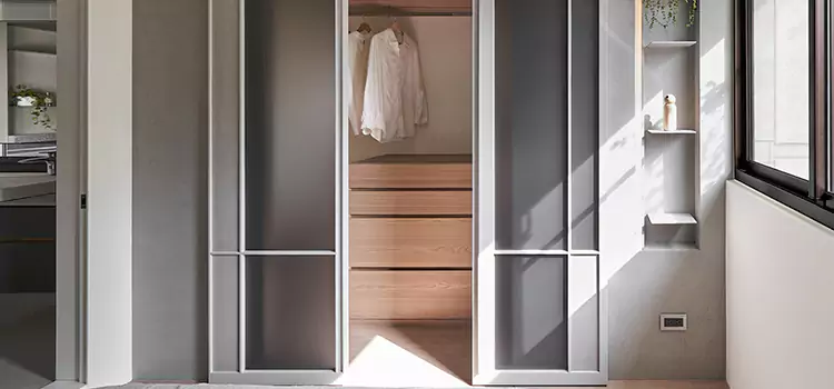 Mirror Sliding Door Replacement Hudson