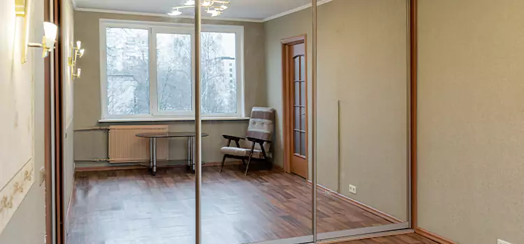 Mirror Closet Door Roller Replacement Hudson