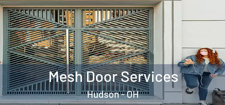 Mesh Door Services Hudson - OH