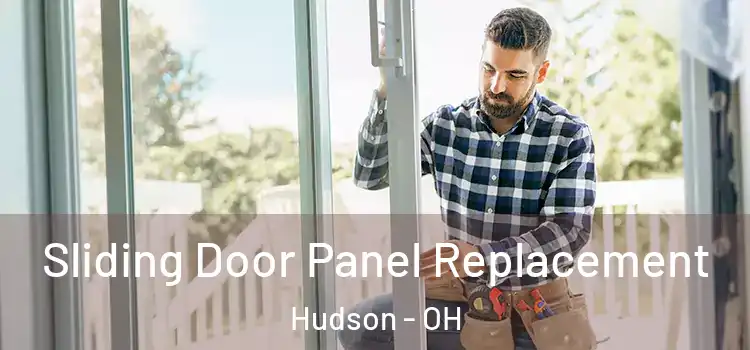  Sliding Door Panel Replacement Hudson - OH